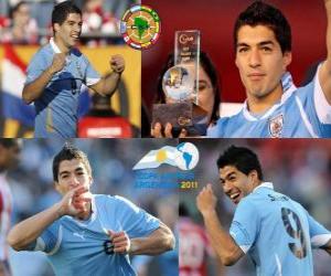 yapboz Copa America 2011 yılında Luis Suarez en iyi oyuncusu